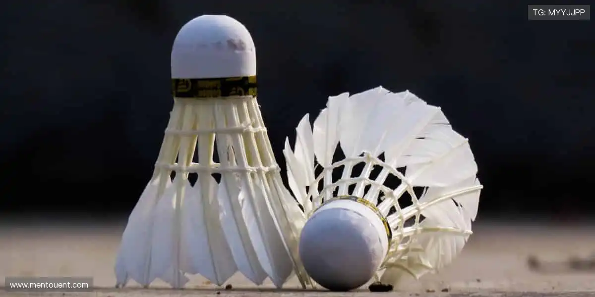 slider-1 Image